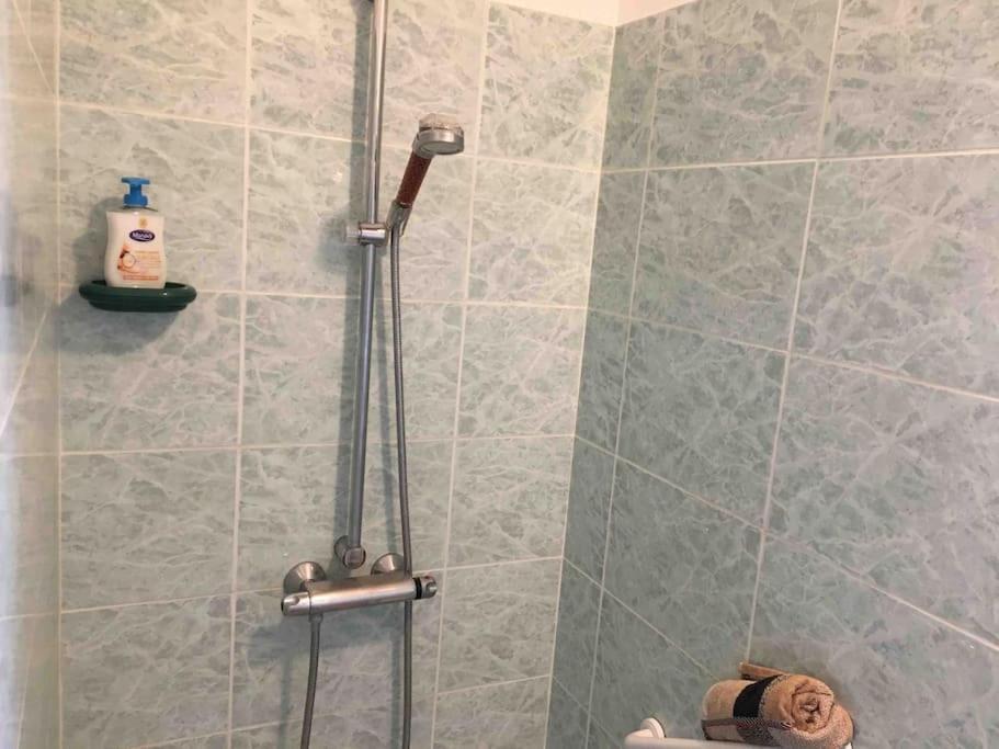 Appartement 55M2 En Beaujolais & Enedis A 15 Min Saint-Germain-Nuelles Экстерьер фото
